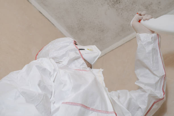 Mold Removal Process in Fennimore, WI